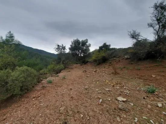 Muğla Ortaca В Gökbel 24.000 M² Внутри Природы Отдельный Участок