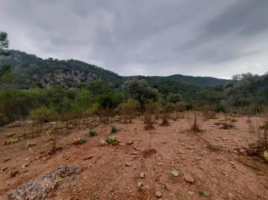Muğla Ortaca В Gökbel 24.000 M² Внутри Природы Отдельный Участок