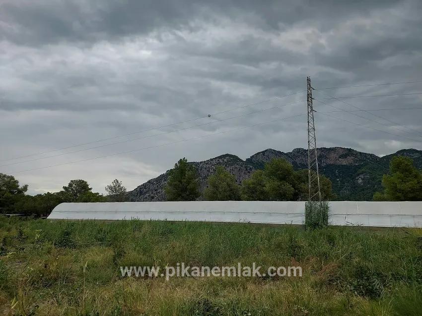 Ortaca Dalyan Mah. Satılık Arazi - Tarla İmar Durumlu - 3.000 m²