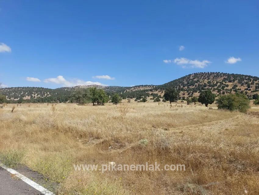 Tefenni Merkezköyler Yuva Köyü Mah. Satılık Tarla - Tarla İmar Durumlu - 5.900 m²