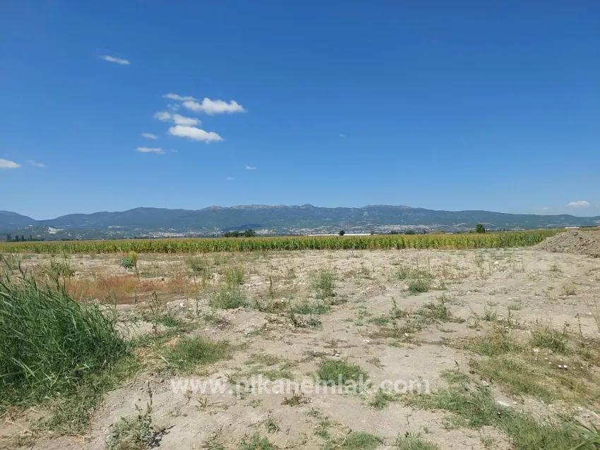Tefenni Merkezköyler Yuva Köyü Mah. Satılık Tarla - Tarla İmar Durumlu - 5.900 m²