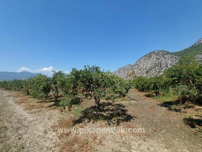 Ortaca Dalyan Mah. Satılık Tarla - Tarla İmar Durumlu - 4.500 m²