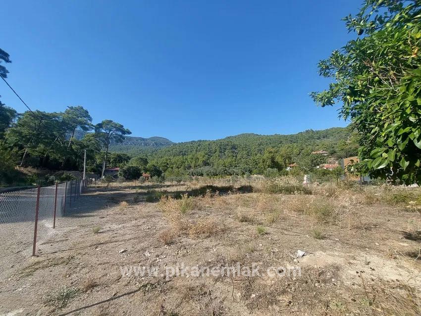 Köyceğiz Çandır Mah. Satılık Arazi - Tarla İmar Durumlu - 1.000 m²