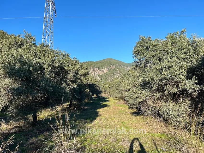 Köyceğiz Ekincik Mah. Satılık Tarla - Tarla İmar Durumlu - 13.320 m²