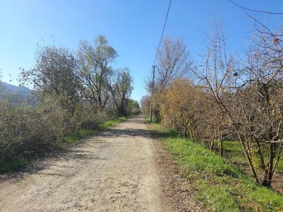 Ortaca Okçular da 1000 m2 Müstakil Arsa