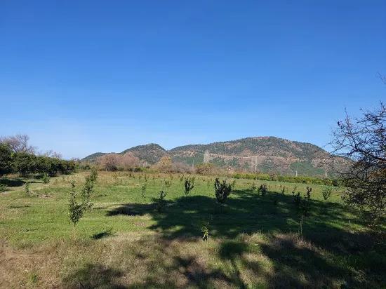 Ortaca Okçular da 1000 m2 Müstakil Arsa