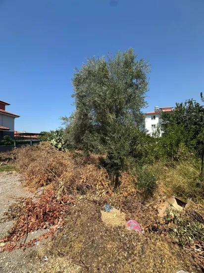 Muğla Ortaca Çaylı Mahallesi'nde, 353,61 M² Müstakil Tapulu Arsa