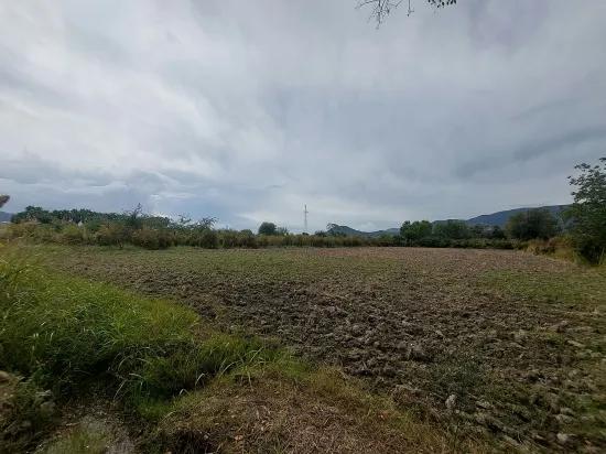 Muğla Dalyan'da 7 224 m2 Müstakil tarla Satılık. Veya Ortaca'dan Daire Takas olur
