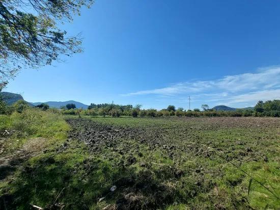Muğla Dalyan’da 7 224 M2 Müstakil Tarla Satılık Veya Ortaca’dan Daire Takas Olur
