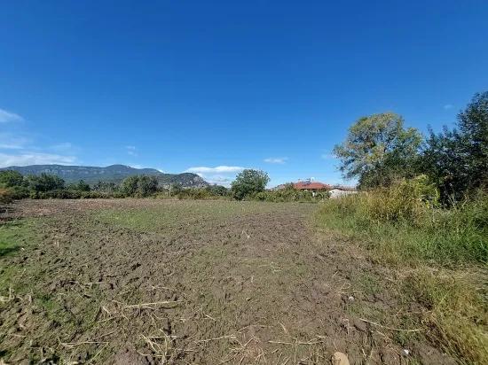 Muğla Dalyan’da 7 224 M2 Müstakil Tarla Satılık Veya Ortaca’dan Daire Takas Olur