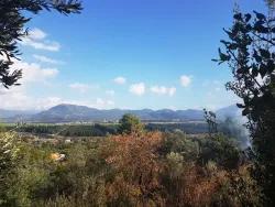 Ortaca Fevziye Mah. Satılık Tarla - Tarla İmar Durumlu - 7.600 m²