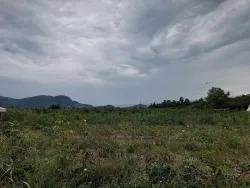 Ortaca Dalyan Mah. Satılık Arazi - Tarla İmar Durumlu - 3.000 m²