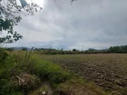 Ortaca Dalyan Mah. Satılık Tarla - Tarla İmar Durumlu - 7.224 m²