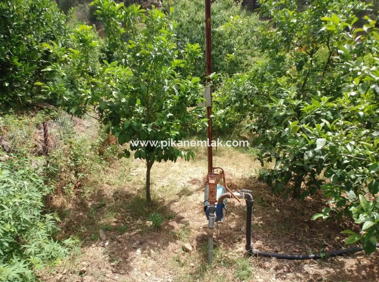 Ortaca Tepearasında Satılık Göl Manzaralı Arazi