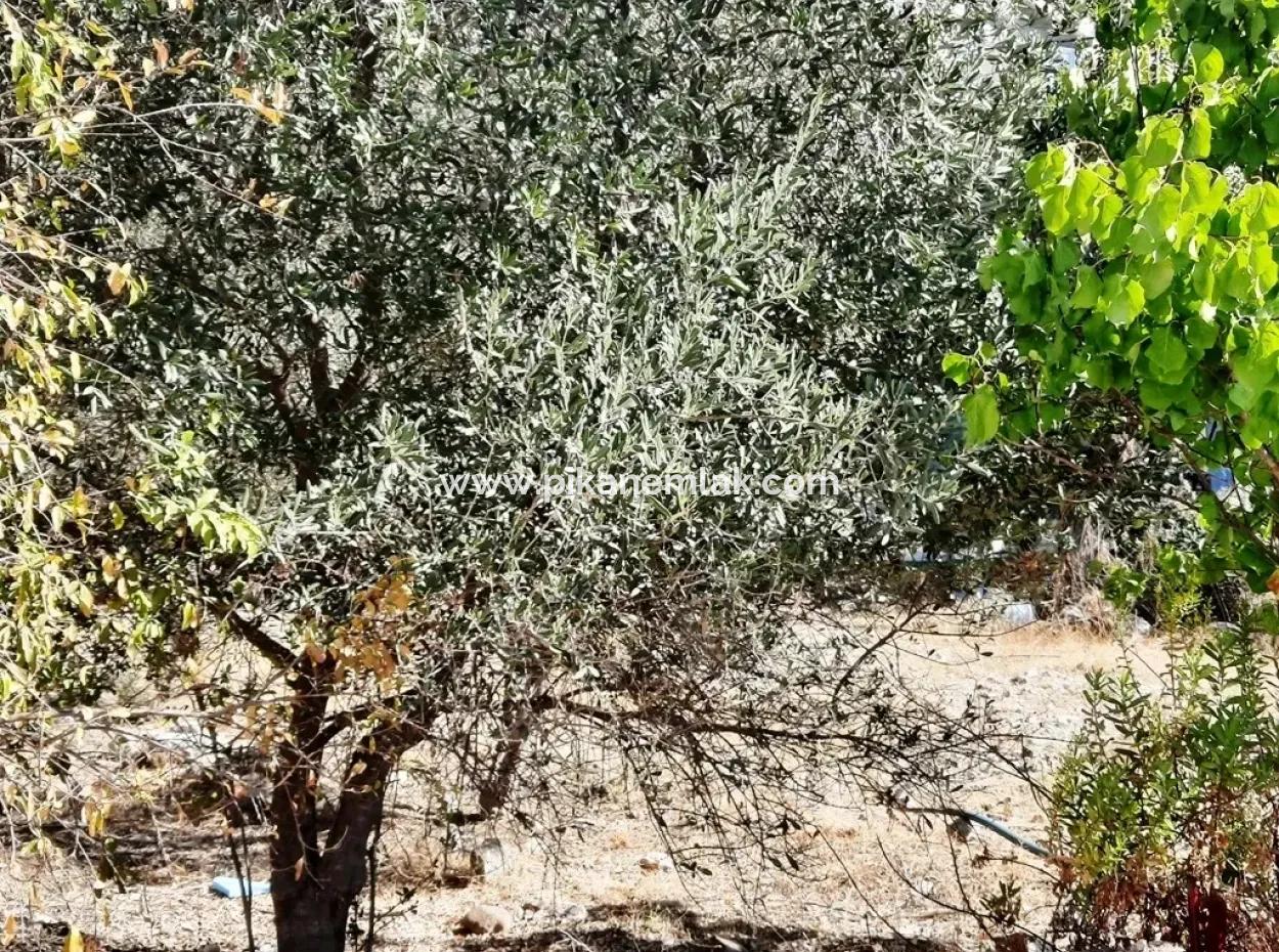 Fethiye Göcekte Müstakil Konut İmarlı Satılık Kelepir Arsa