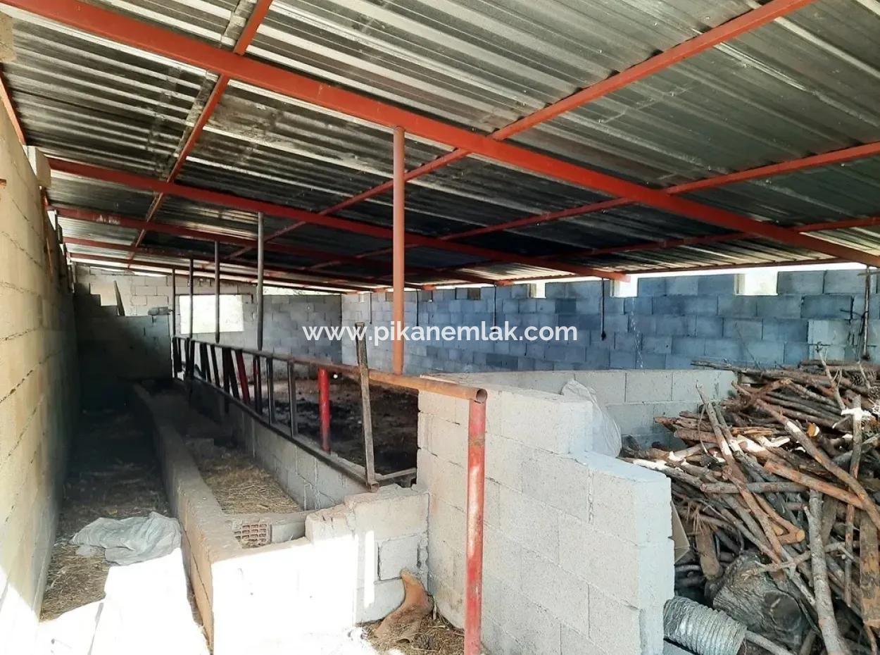 Denizli Çameli Cevizlide Satılık 2 700 M2 Arazi Ve Köy Evi