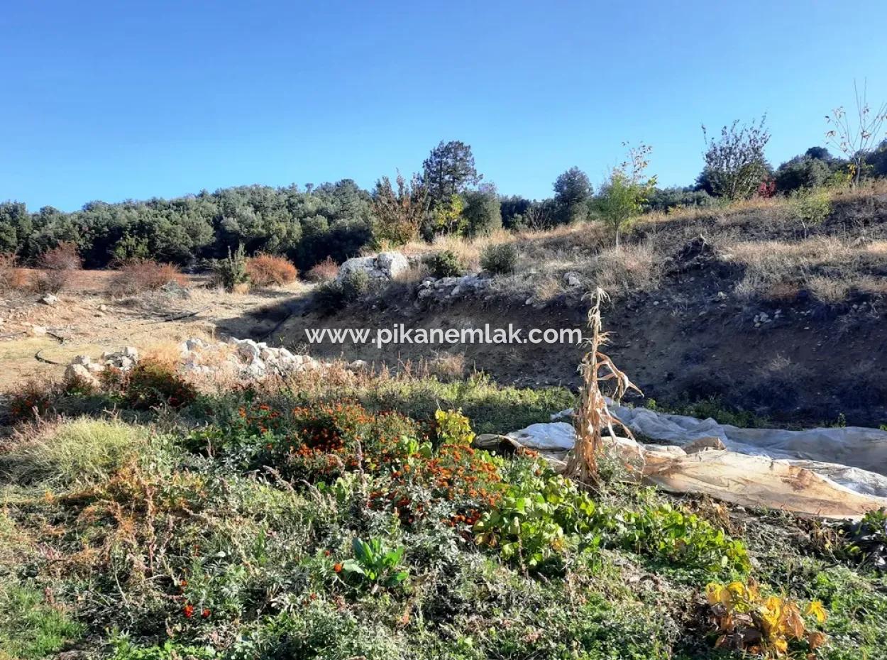 Denizli Çameli Kızılyakada Doğa Manzaralı Kelepir Arazi Ve Köy Evi Satılık