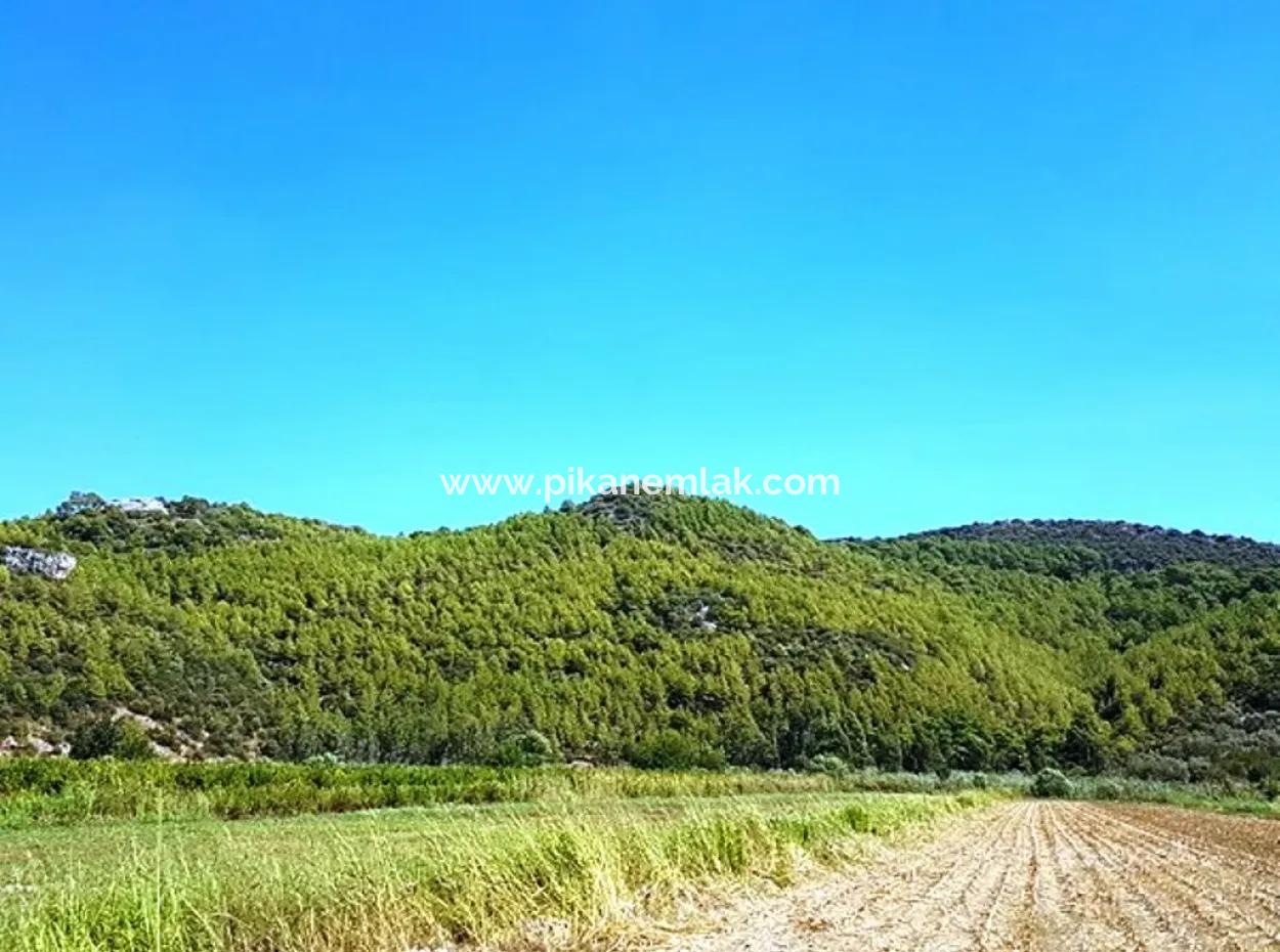 Muğla Ortaca Güzelyurt Ta Satılık Verimli Kelepir Arazi