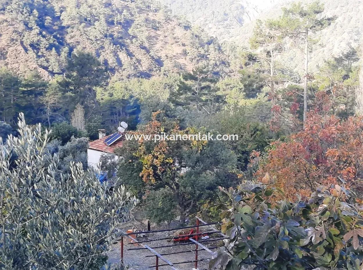 Muğla Dalaman Narlıda Satılık 1800 M2 Kelepir Arazi