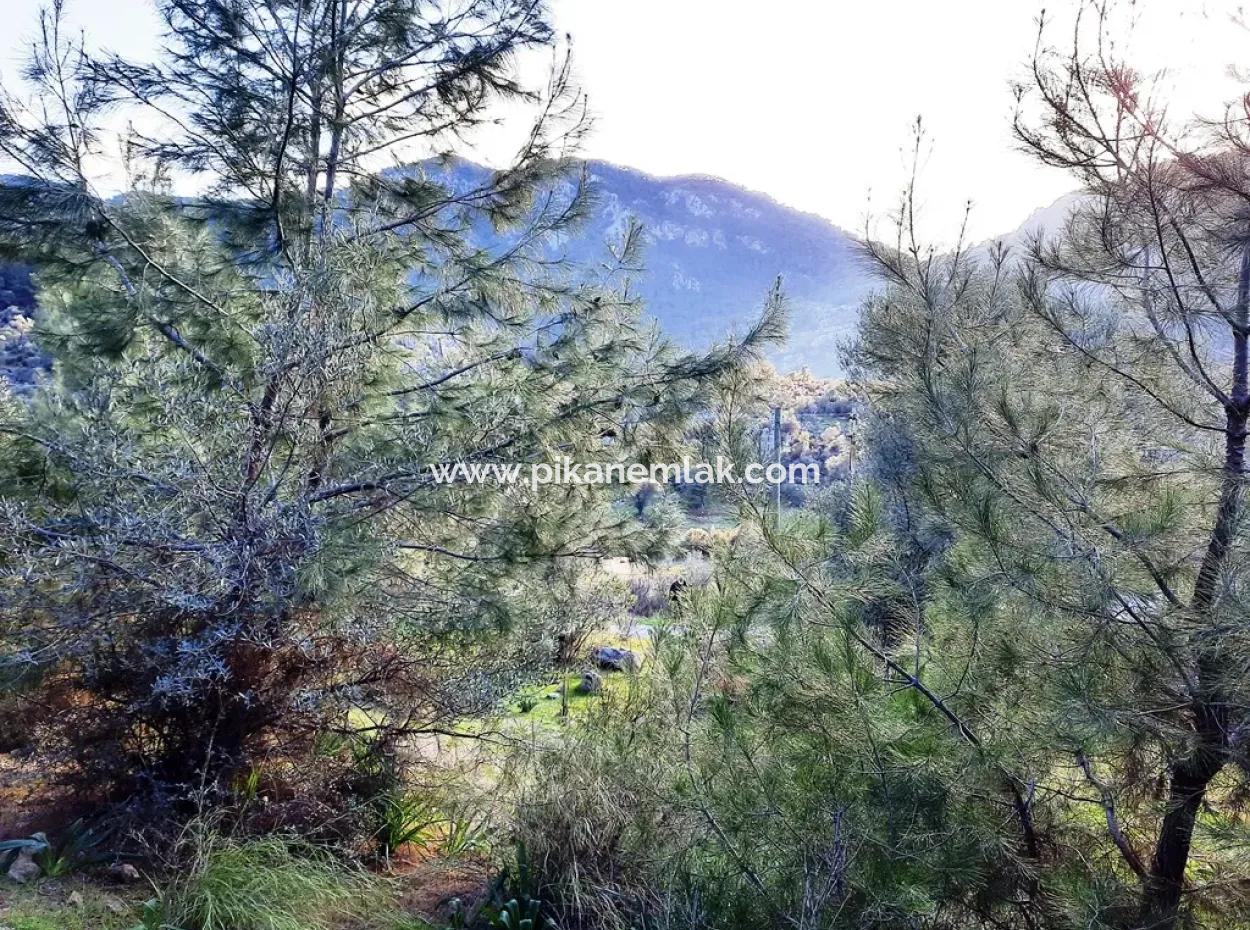 Muğla Dalyan Gökbelde 1700 M2 Doğa Manzaralı Müstakil Arazi Ve Bungalov