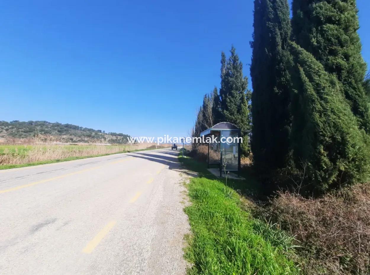 Muğla Ortaca Güzelyurtta Sarıgerme Yolu Cepheli 2256 M2 Tarla Satılık