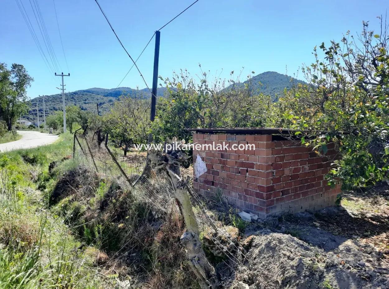 Muğla Ortaca Fevziyede Satılık 530 M2 İmarlı Arsa