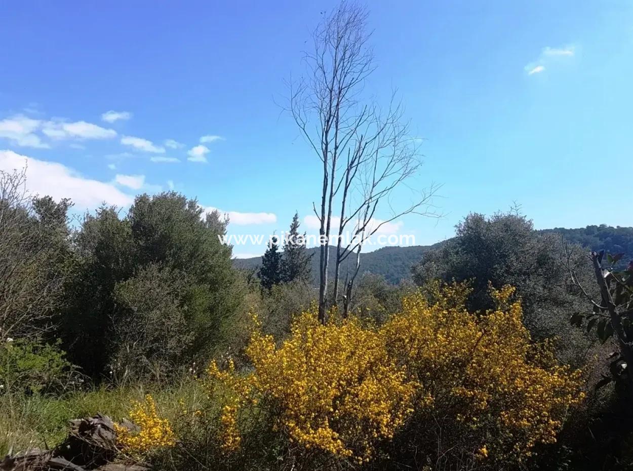 Sarıgerme De Satılık Kelepir Arsa, 2616 M2, 6 Müstakil Parsel