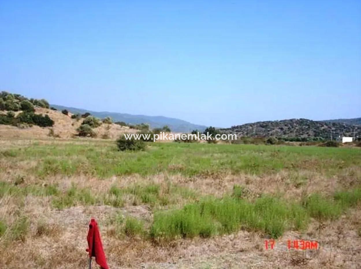 Muğla Milas Çiftlikte 10 000 M2 Arazi Acil Satılık