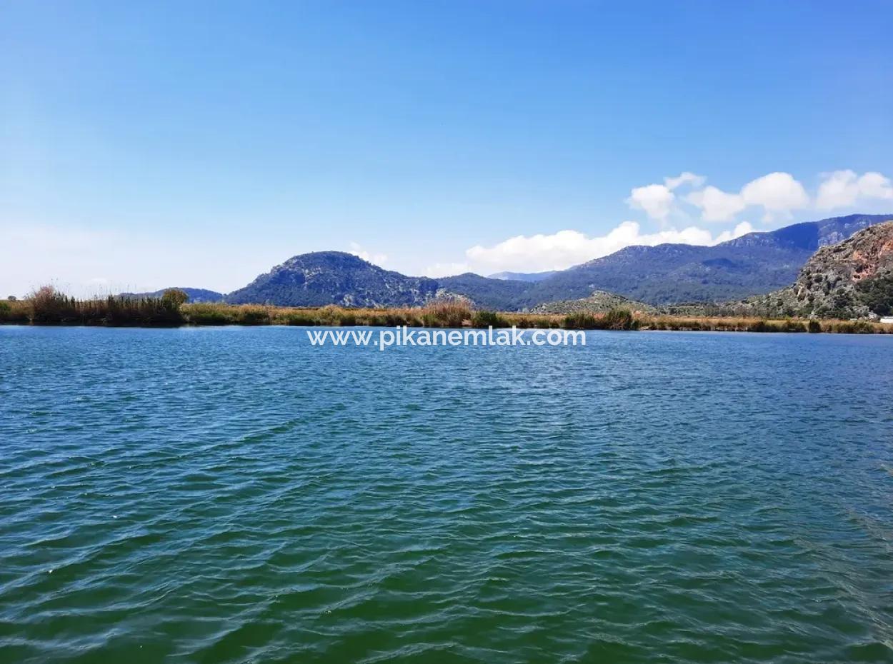 Muğla Dalyanda Satılık Kanala Sıfır Yatırıma Uygun Nar Bahçesi