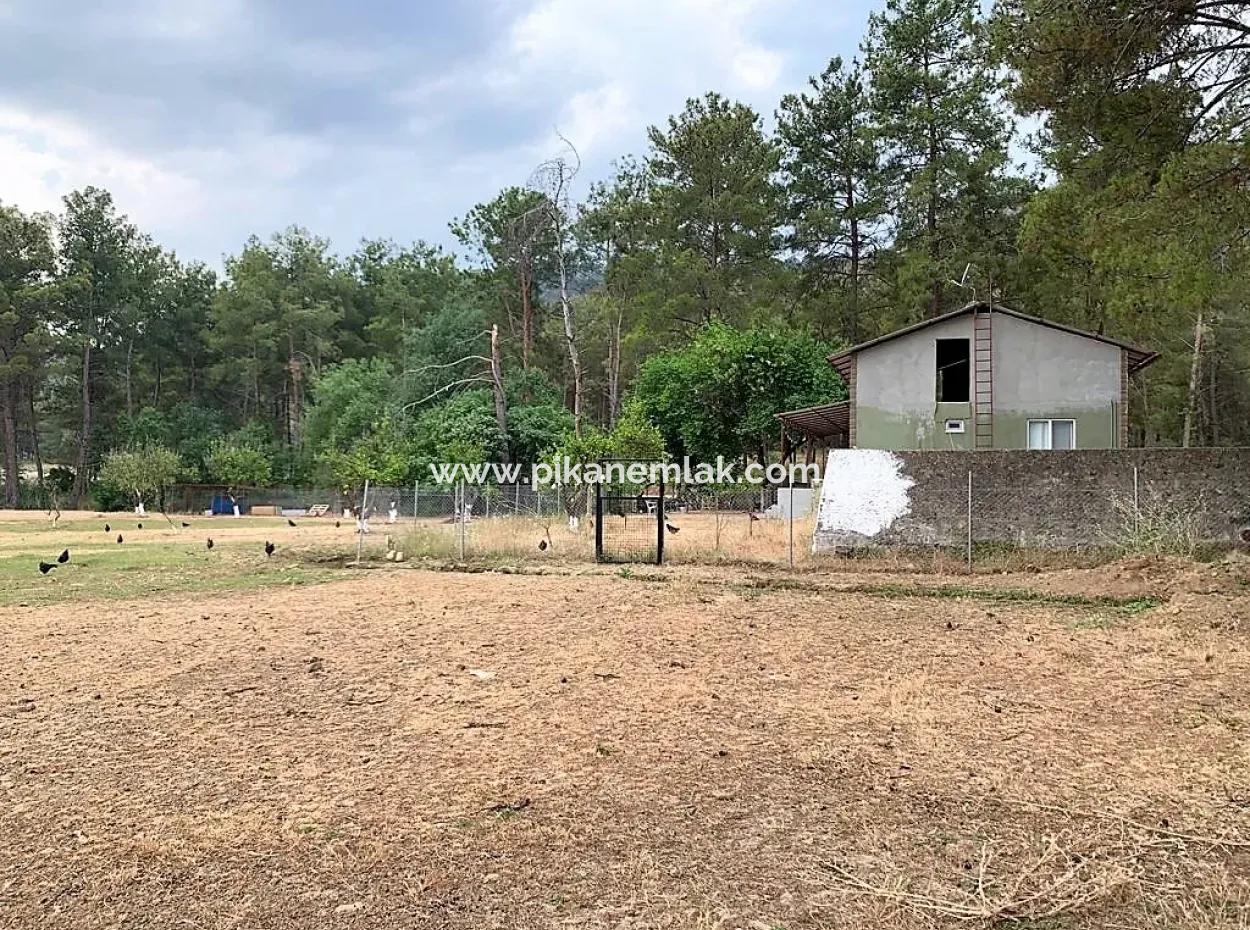 Ortaca Çaylıda Çam Ormanı İçinde Çay Kenarı 10345 M2 Arazi Ve Müstakil Ev Satılık