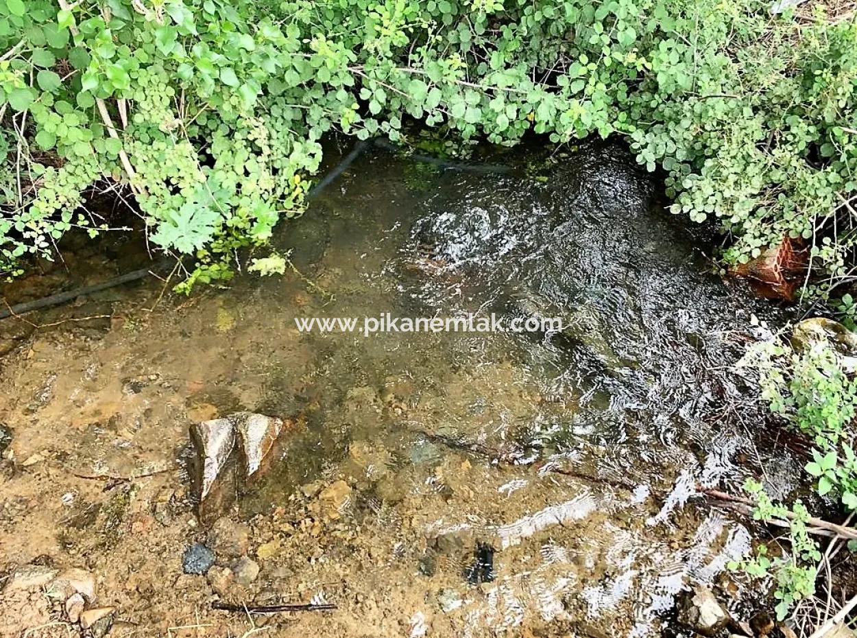 Ortaca Çaylıda Çam Ormanı İçinde Çay Kenarı 10345 M2 Arazi Ve Müstakil Ev Satılık