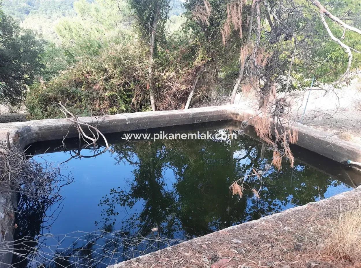 Muğla Dalyan Gökbelde 320 M2 Kelepir Arazi Satılık