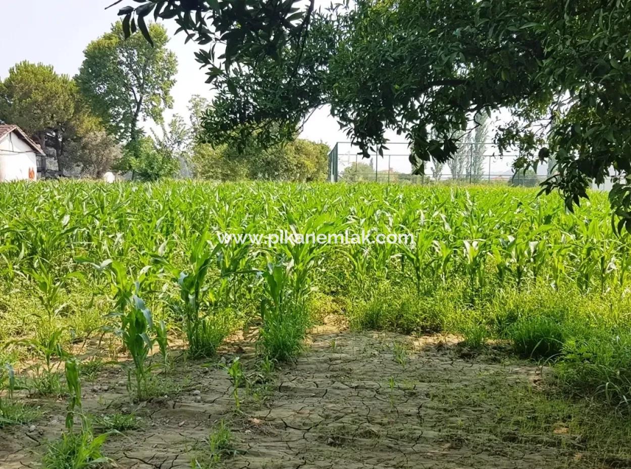 Dalamanda Satılık Ucuz Yatırıma Uygun Arsa