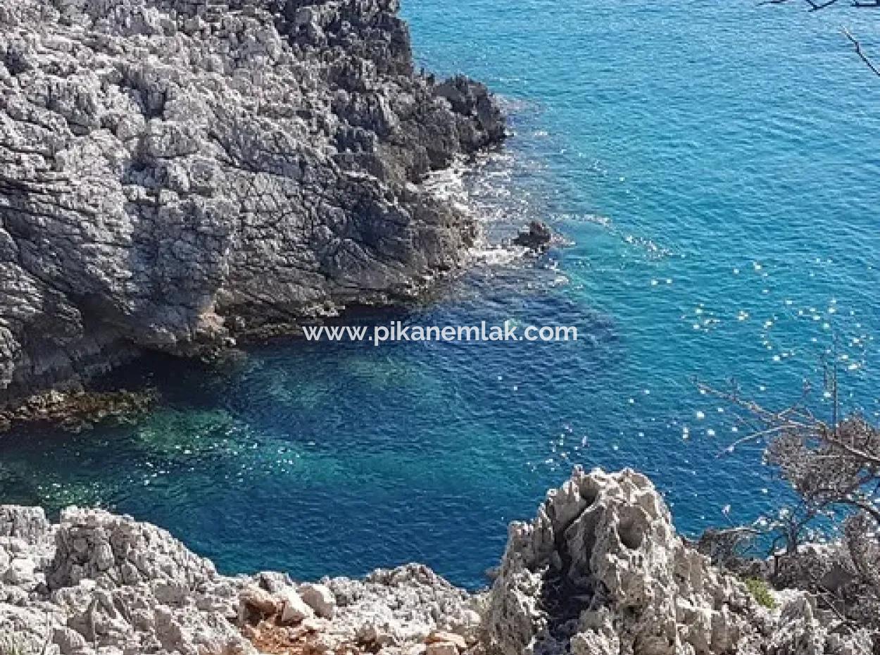 Dalyan, Gökbel De Denize Sıfır Müstakil 1 300 M2 Zeytinlik Satılık