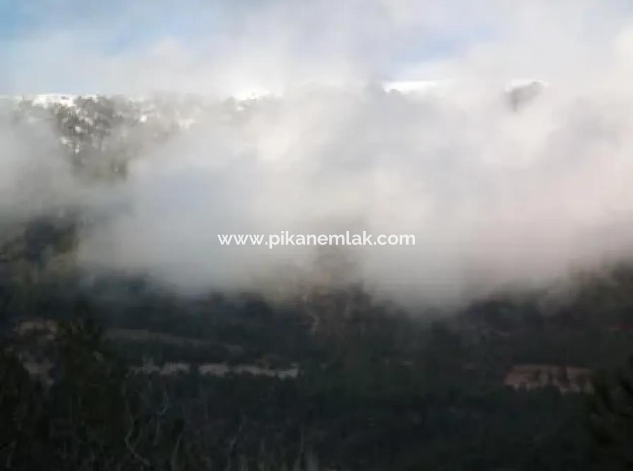 Fethiye Nif Te Satılık 1985 M2 Arsa Ve Eski Köy Evi