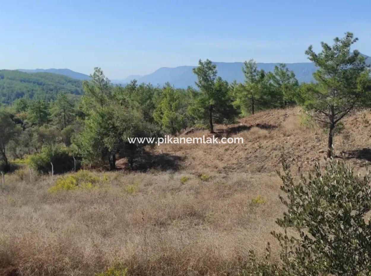 Ula Esentepede 4 200 M2 Deniz Manzaralı Arazi Satılık