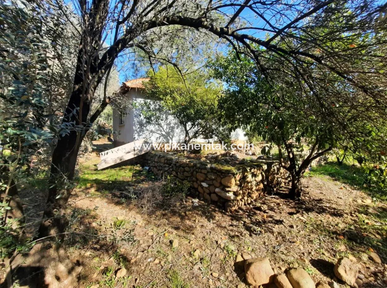 Köyceğiz Toparlarda 4 200 M2 Arsada Tek Katlı Müstakil Ev Satılık