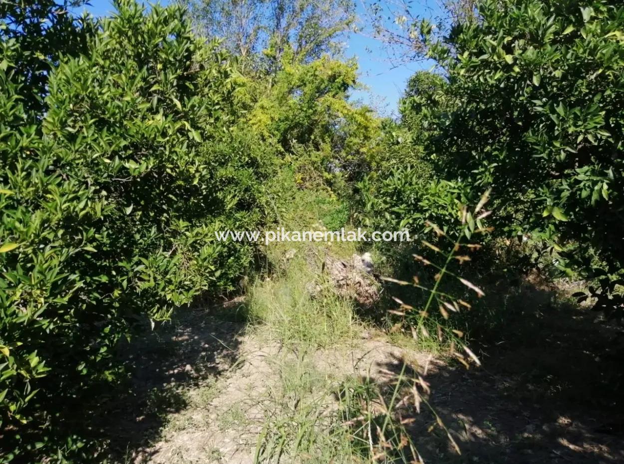 Ortacada Satılık Yola Sıfır Arsa