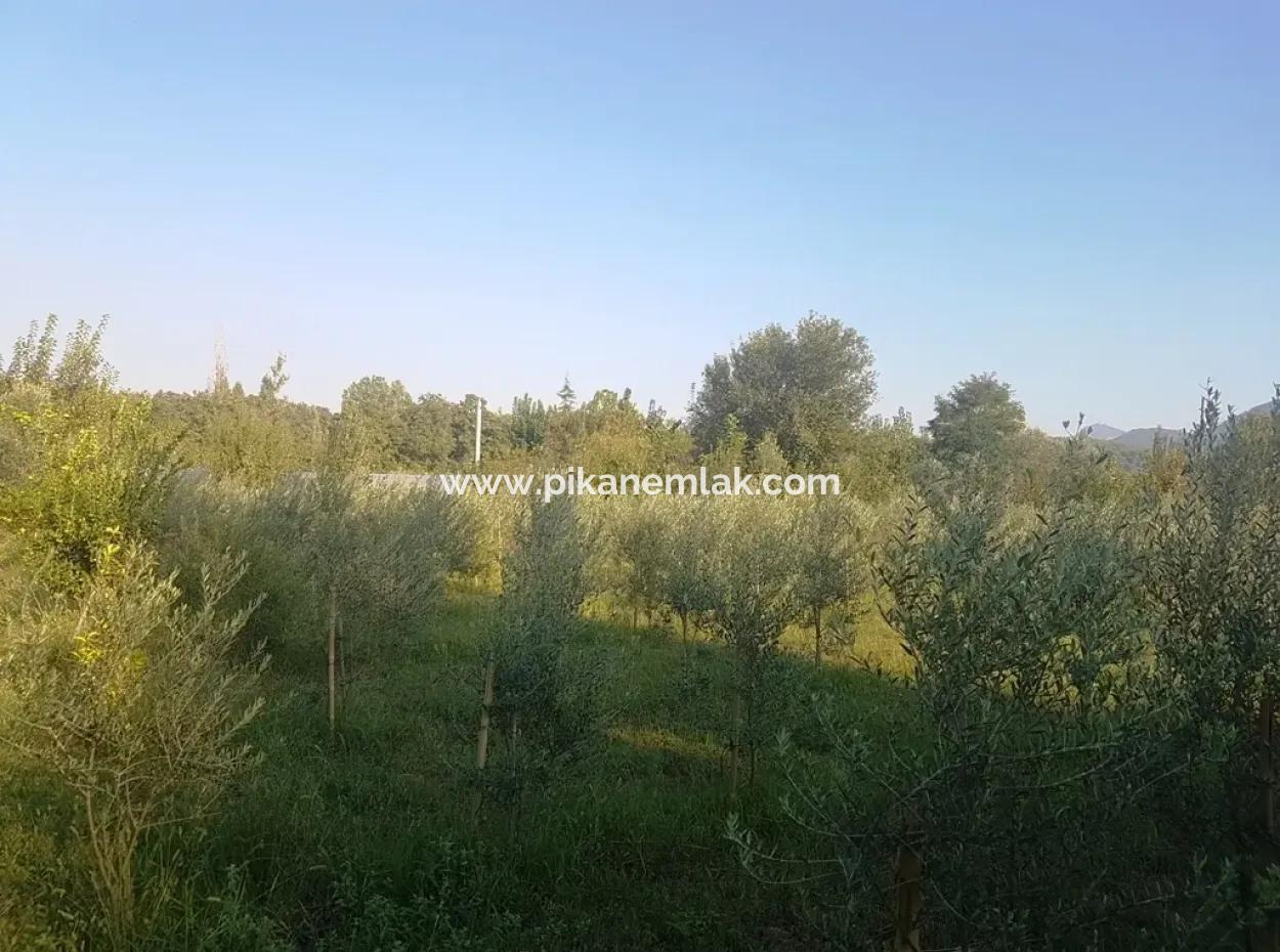 Beyobasında Satılık Kelepir Arsa