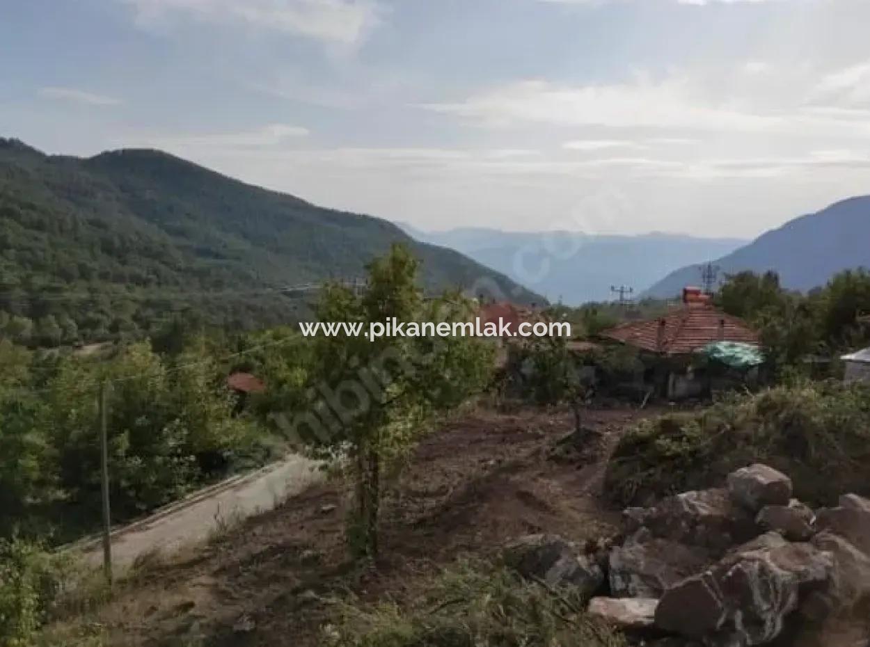 Muğla Köyceğiz Yayla Mah 570 M2 Arsa Satılık