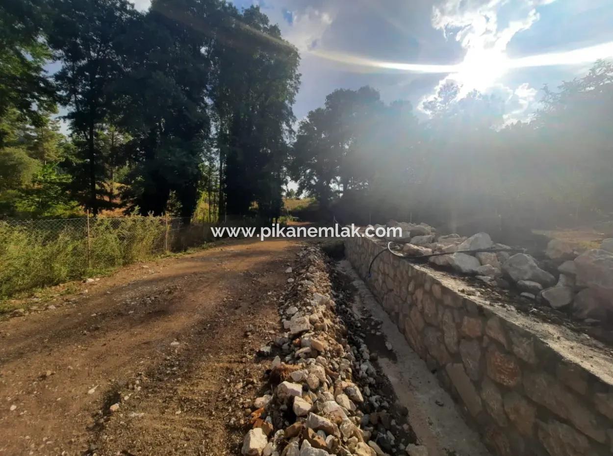 Muğla Köyceğiz Yayla Mah 795 M2 İmarlı Arsa Satılık