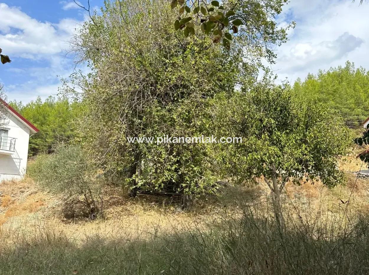 Köyceğiz De 1026 M2 Arsa Satılık