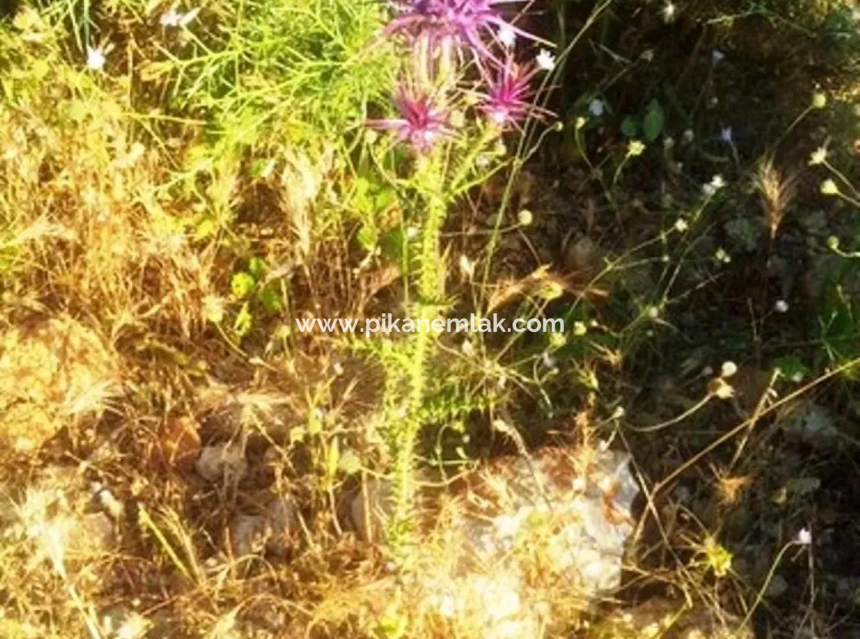 Seydikemer Boğaziçinde Satılık Deniz Manzaralı Arazi