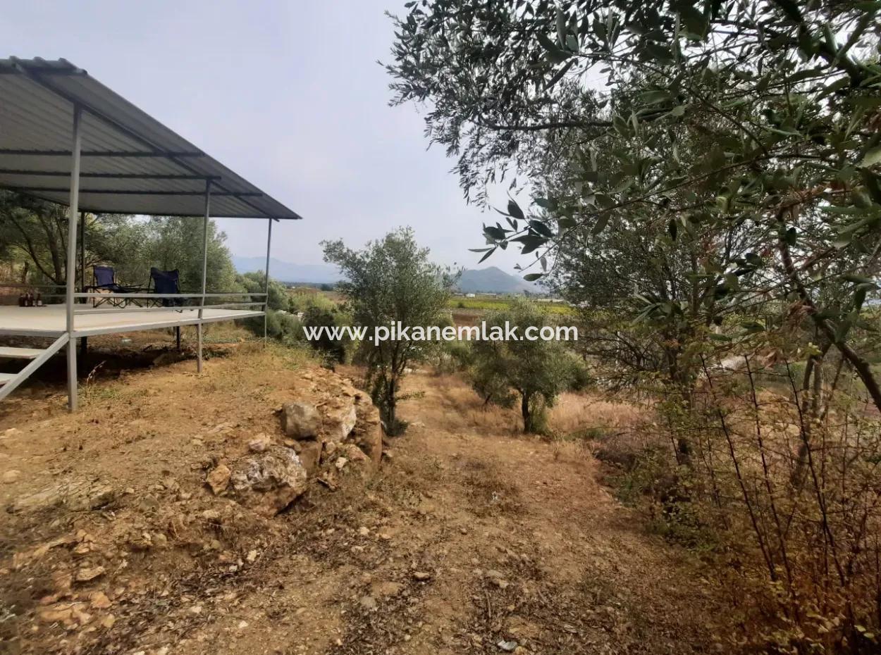 Eskiköyde 2 500 M2 Hazine Arazisi Zilliyet Hakkı Devir Edilecek Veya  Araç Takas Olur