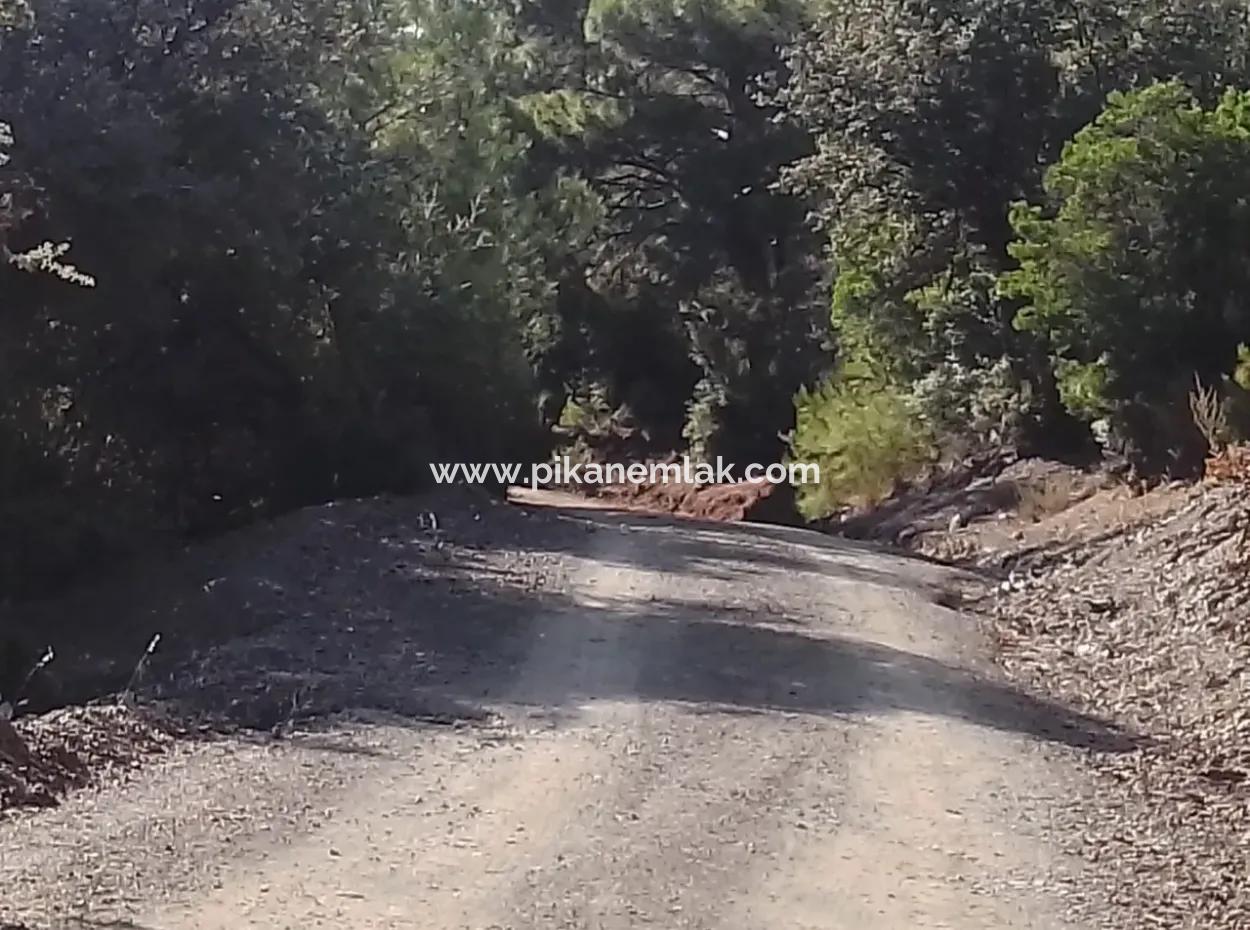 Muğla Dalyan Gökbelde  7 270 M2 Müstakil Tapulu Deniz Ve Göl Manzaralı Arazi Satılık