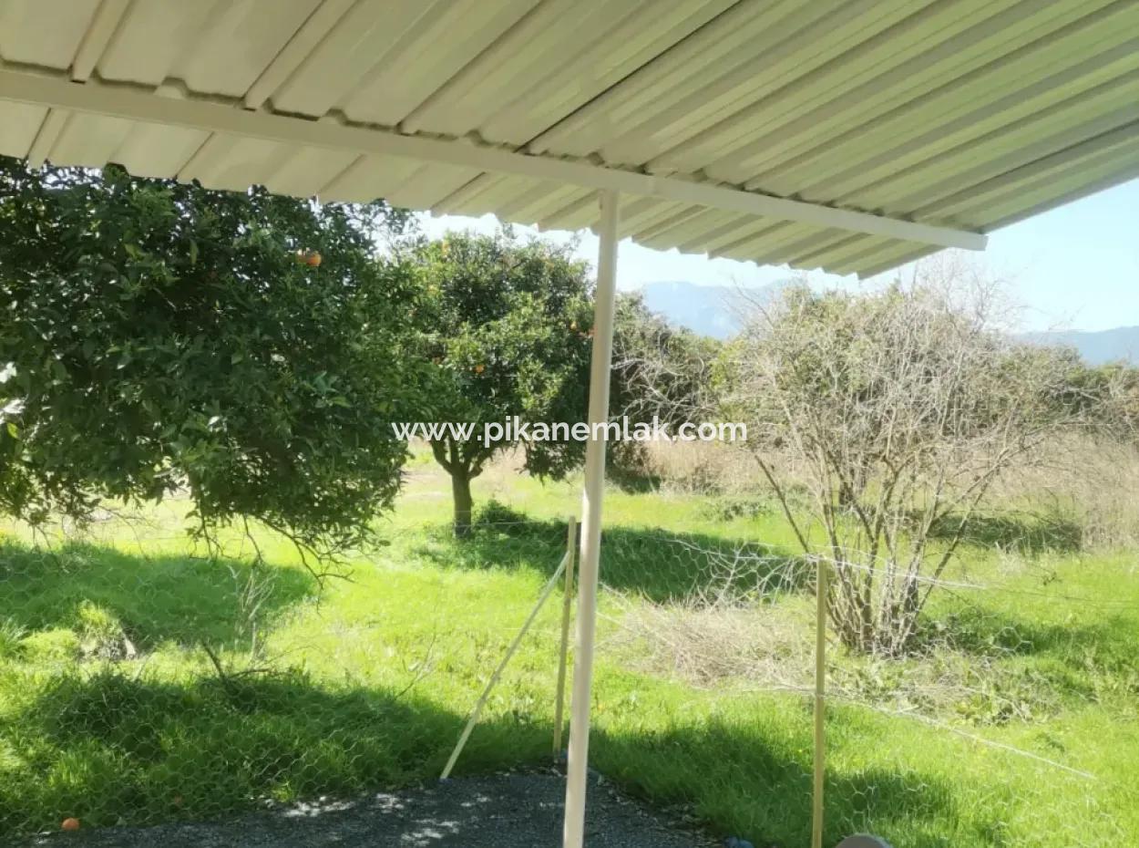 Ortaca Tepearası Mah. 2+1 Bahçe Katı Daire Kiralık