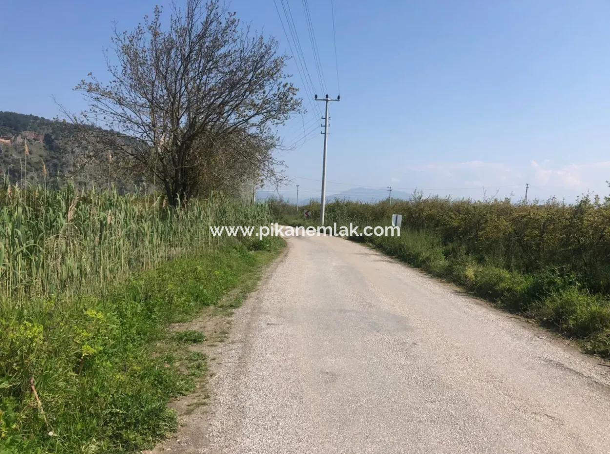 Ortaca Mergenlide 7989 M2  150 M2 İnşaata İzinli Nar Tarlası Satılık