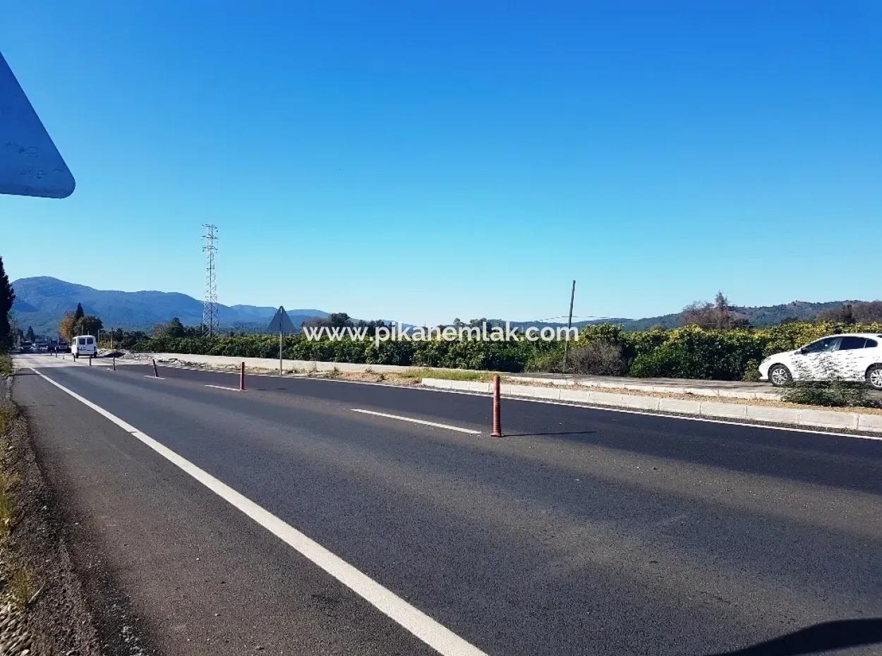 Döğüşbelen De Anayola Sıfır Arazi Satılık