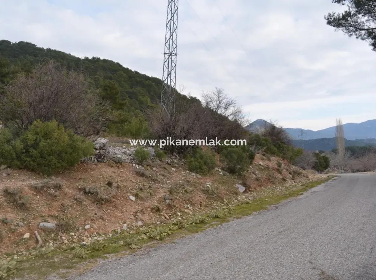 Fethiye, Nifte, 2 000 M2, Müstakil Satılık, Kelepir Arazi