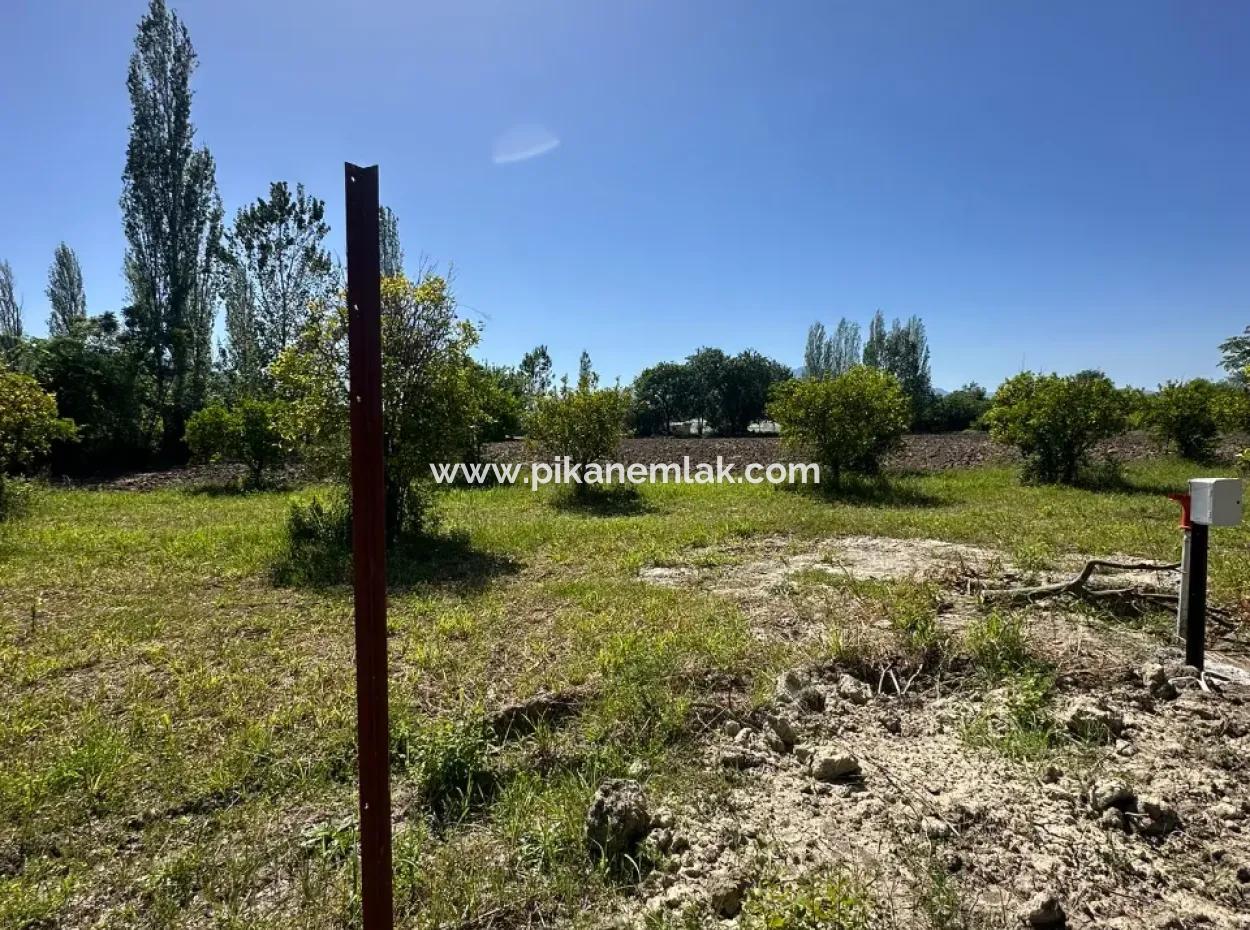 Okçular Da Satılık 500 M2